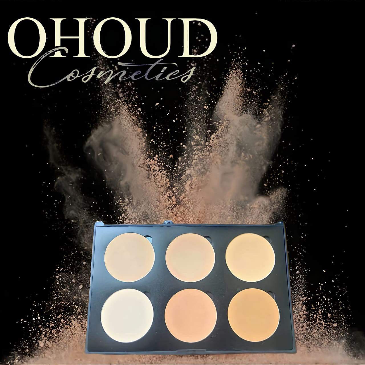 COMPACT POWDER PALETTE FOR USE WET OR DRY