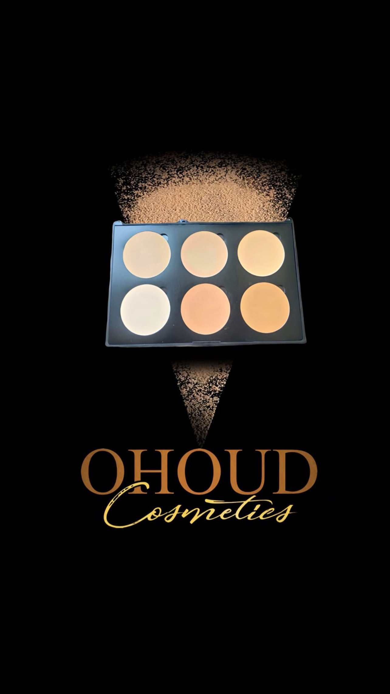 COMPACT POWDER PALETTE FOR USE WET OR DRY