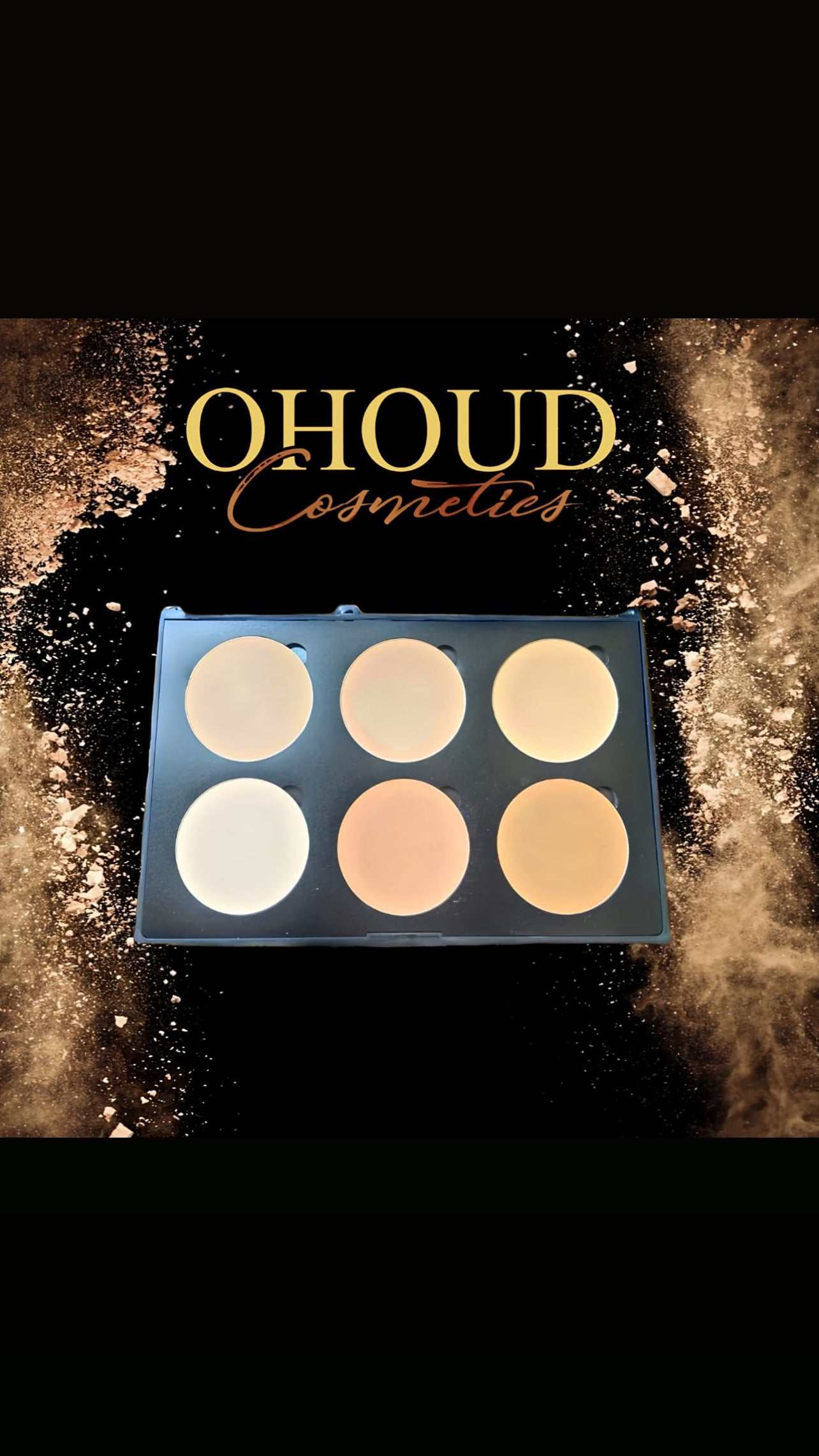 COMPACT POWDER PALETTE FOR USE WET OR DRY